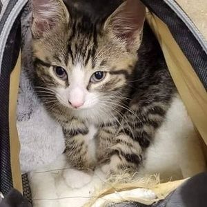 Meet your Posher, Jay